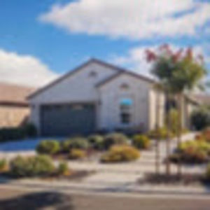 Meet your Posher, Irma